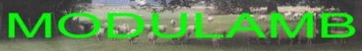 Modulamb Ltd logo
